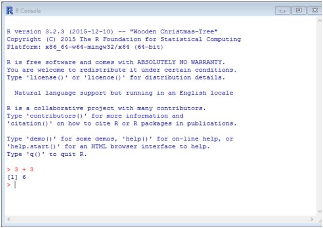 Running a test in R console